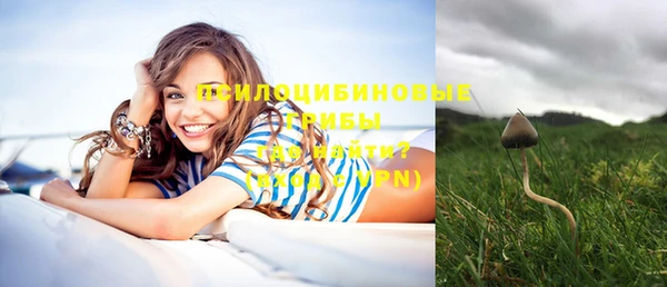 дурь Бронницы