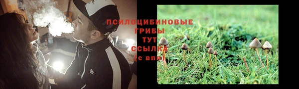 дурь Бронницы