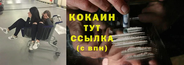 дурь Бронницы