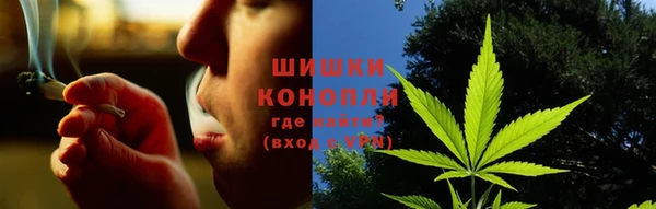 дурь Бронницы