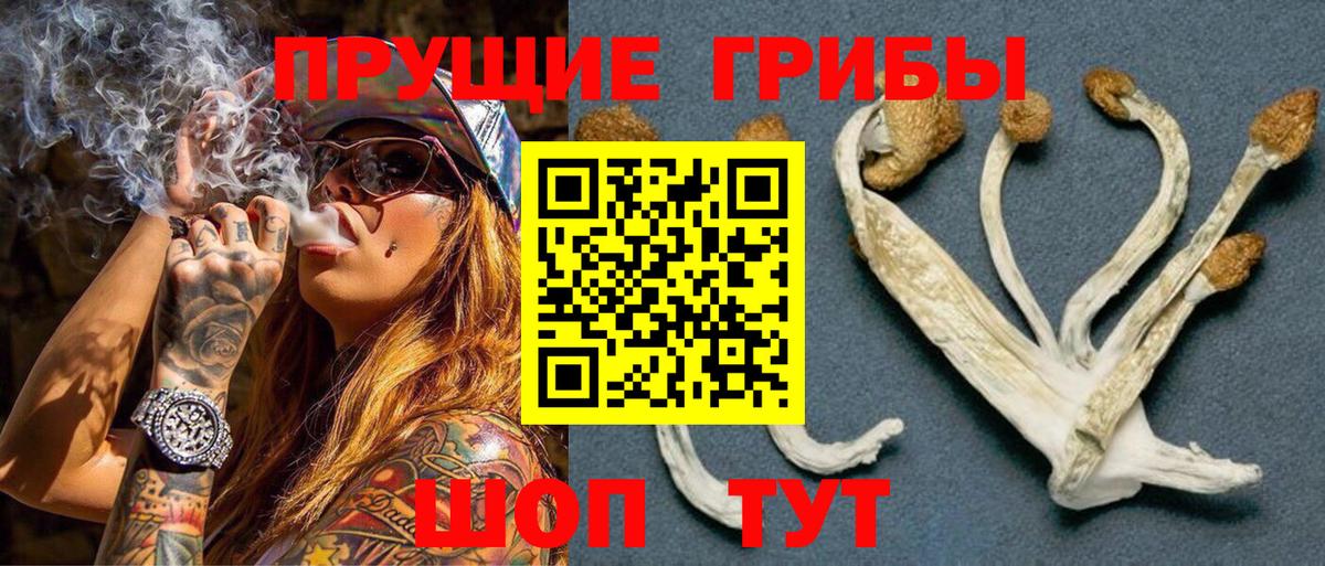 Псилоцибиновые грибы Magic Shrooms  Вход с VPN  закладка  Славянск-на-Кубани 